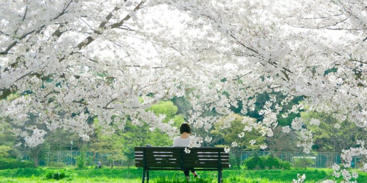 Architectural Digest México y Latinoamérica