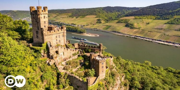 Cómo viajar en tren por Alemania por solo 9 euros | Todos los contenidos | DW