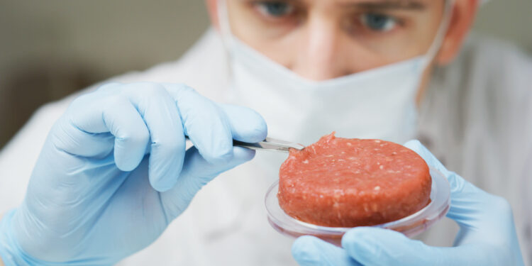 Cubiq Foods cierra una nueva ronda de financiación para su expansión y globalización