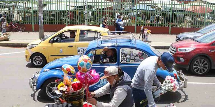 Día de la Madre: Se exportaron 650 millones de flores colombianas