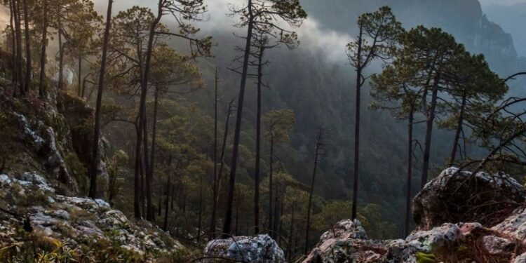 Dónde se puede hacer turismo sostenible en México