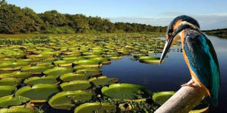 El turismo genera más de 30 mil puestos de trabajo en Corrientes