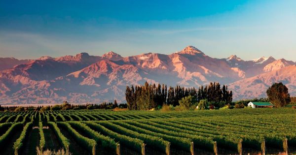 Empiezan tres das de ofertas para viajar a Mendoza con 50% de descuento: de qu se trata la promo