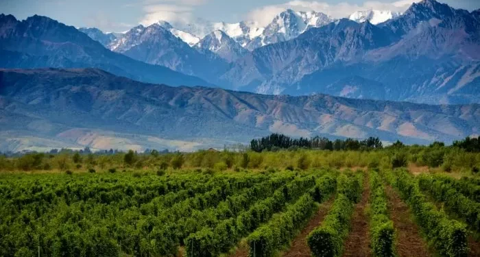 Empiezan tres días de ofertas para viajar a Mendoza con 50% de descuento: de qué se trata la promo