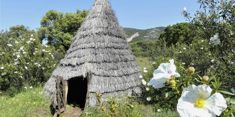 Esplendorosa primavera en Cabañeros, que superó las 10.000 visitas en Semana Santa - Lanza Digital