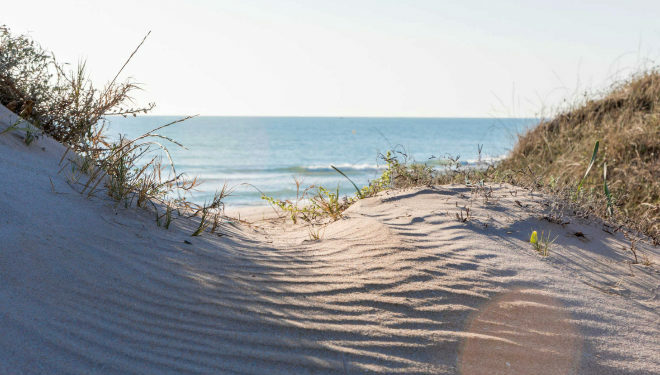 Playa de El Saler en Valencia. Se encuentra a una distancia de 370 km de Madrid.