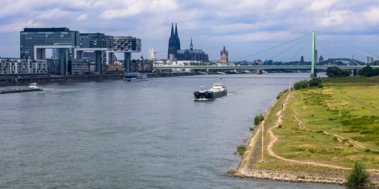Rhine