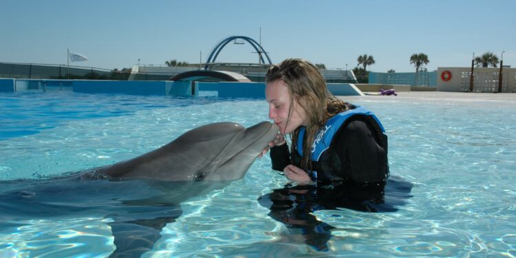 Marineland recibe la acreditación de la Asociación de Zoológicos y Acuarios