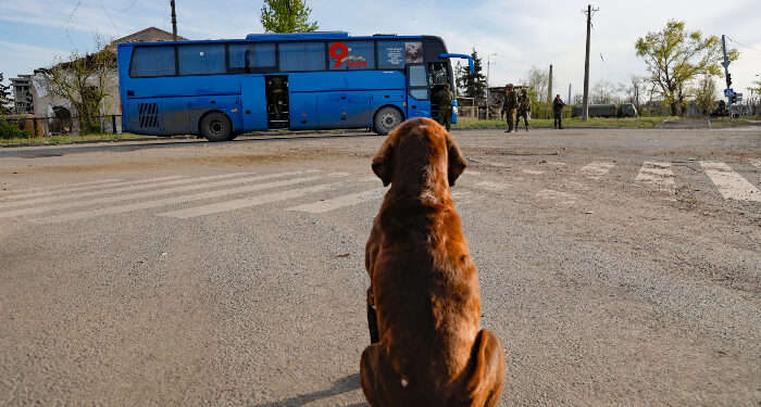 Rusia ataca Odesa con misiles crucero mientras Ucrania evacúa civiles de Mariúpol