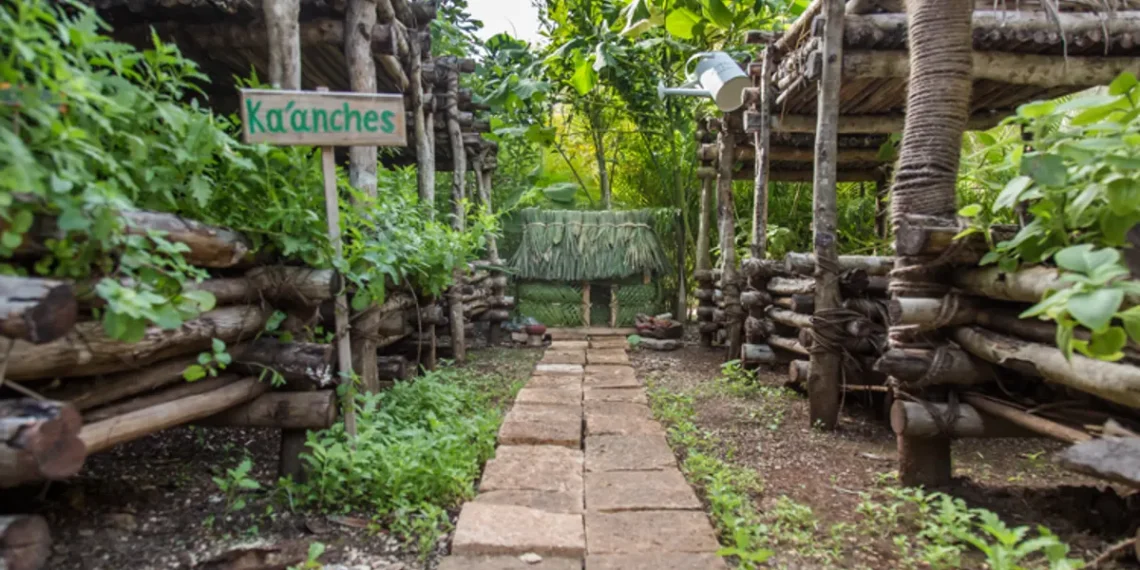 Los Ka´anche´s de Chablé Hotels: cultivar en el cielo para cuidad la tierra
