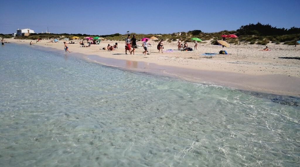 Un informe de Medi Ambient afirma que retirar la posidonia contribuye al retroceso del litoral