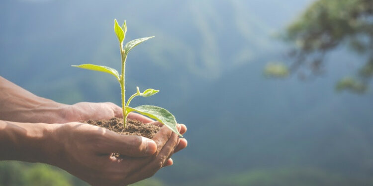 Viajes sustentables