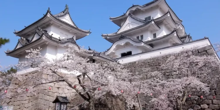 visas, propinas, electricidad y más — Conocedores.com