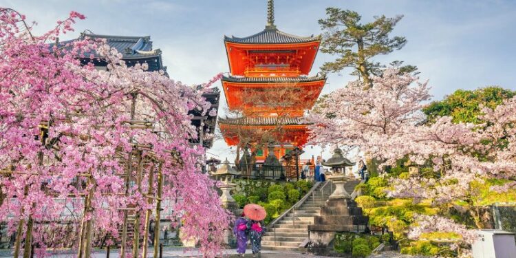 ¡Bienvenida, primavera! 5 destinos ideales para viajar en Abril - kioto-japon-bienvenida-primavera-5-destinos-ideales-para-viajar-en-abril-1
