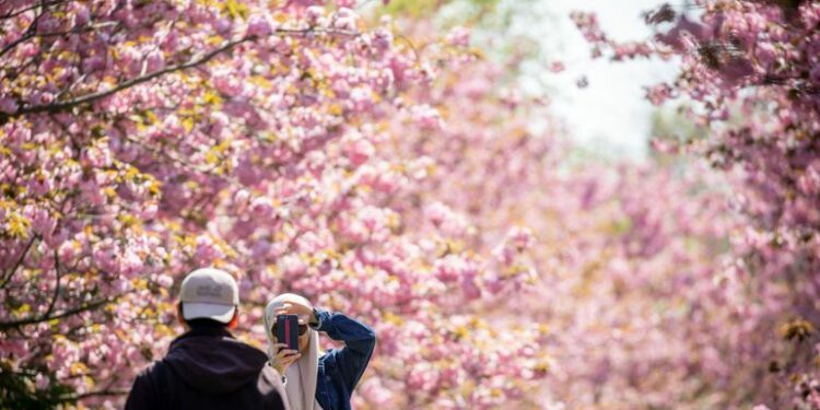 ¿Hace falta fotografiar todo? Tips para disfrutar de los viajes - Viajes