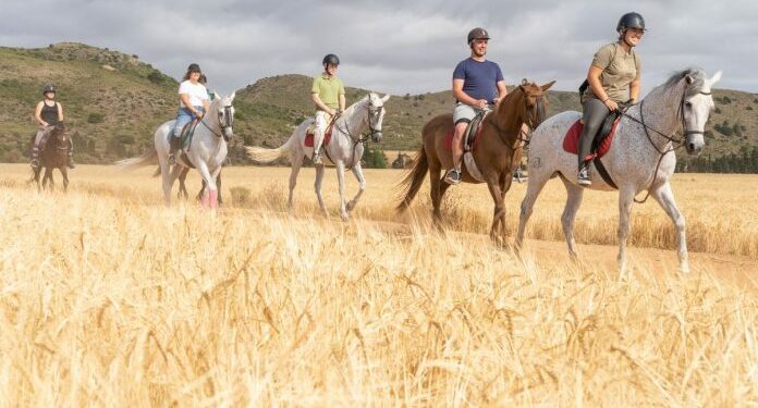 Viajes al Circo del Sol, Ibiza, parque Warner y Aqualandia, entre las novedosas propuestas del T-LA de Verano