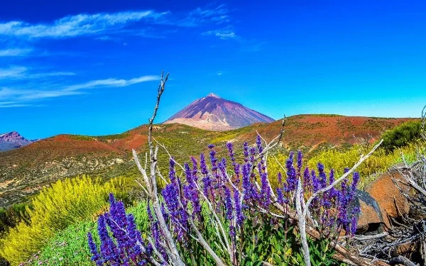 Parque Natural del Teide