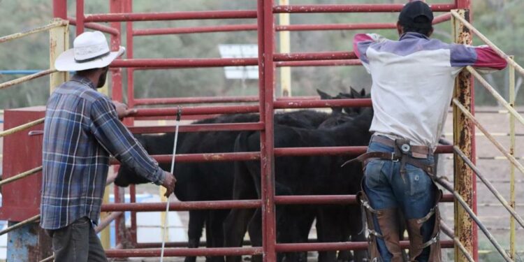 5 rutas y actividades increíbles para hacer turismo rural en México