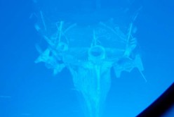 Encontraron un barco hundido en la Segunda Guerra Mundial a 6 km de profundidad