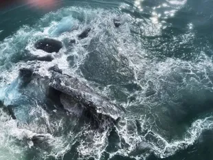 El iceberg contra el que impactó el crucero en Alaska