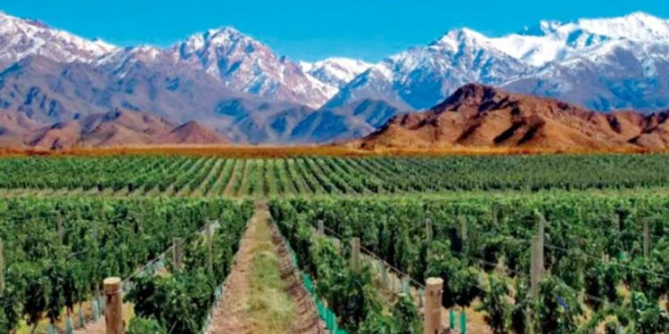 Bariloche y Mendoza los preferidos por los misioneros