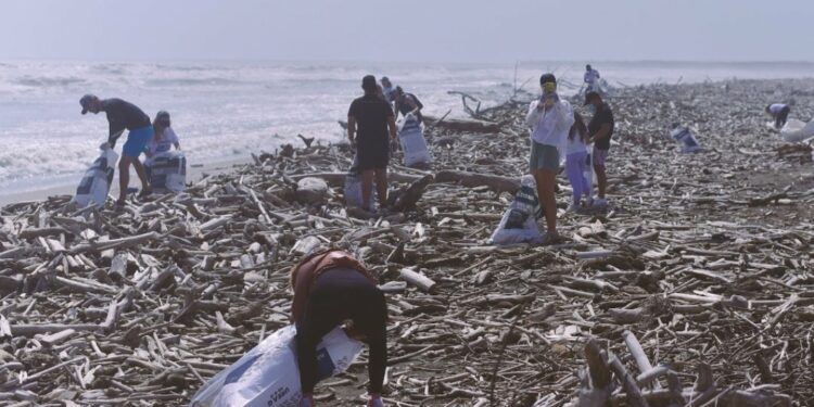 Cabify donará 1% de todos los viajes que se realicen en el Día Mundial de los Océanos