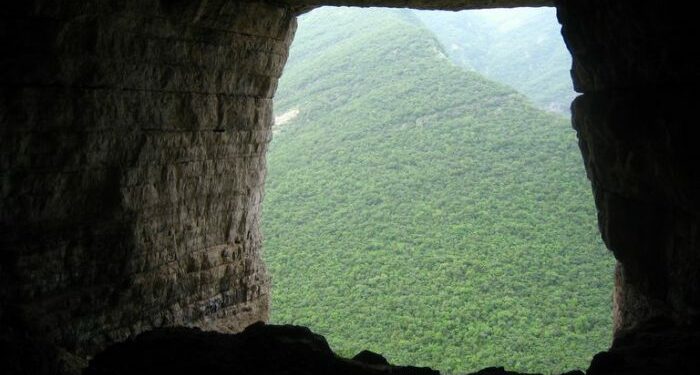 Descubre este espectáculo que los murciélagos en Santiago, Nuevo León te ofrecen