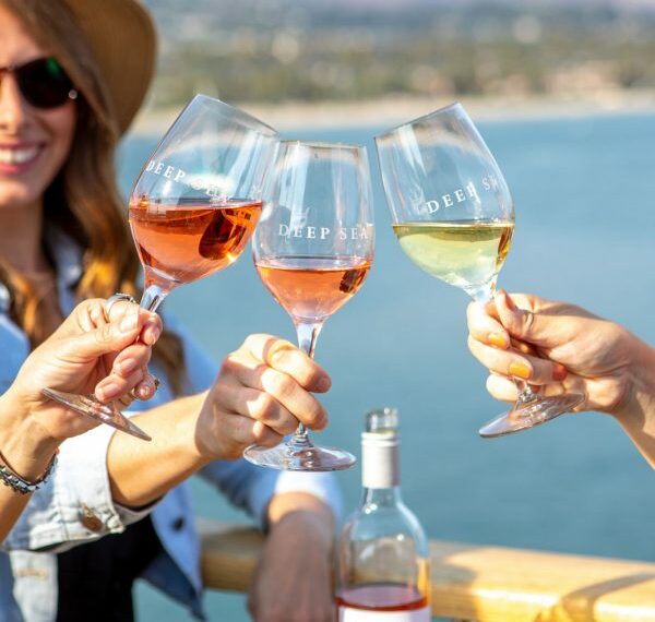 Disfruta las experiencias vinícolas que ofrecen estas ciudades californianas.