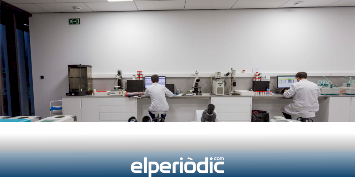 El premio 'Fundación Vicky Foods a la investigación en nutrición y salud' lanza su II edición