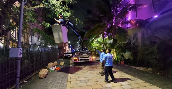 Embellecen el atractivo turístico de Playa del Carmen