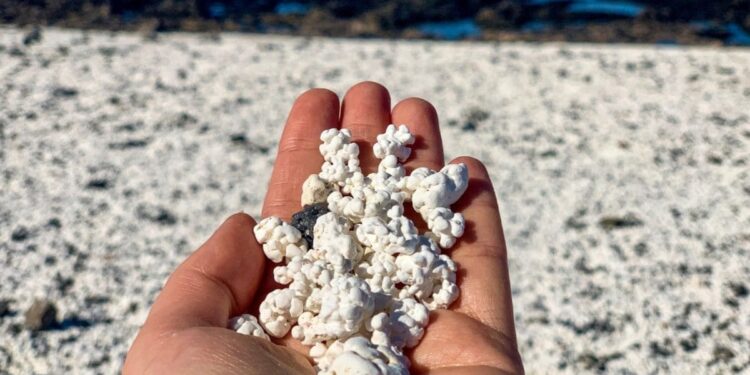 Playa de las Palomitas, situada en la isla de Fuerteventura