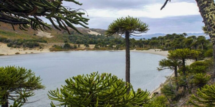 Gutiérrez a España, tras el “turismo inteligente”