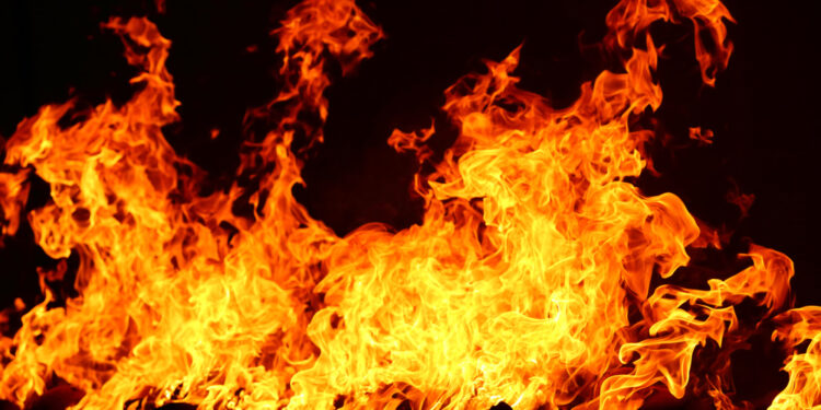 Incendio consume un Whole Foods en centro comercial de Clearwater – Telemundo Tampa (49)