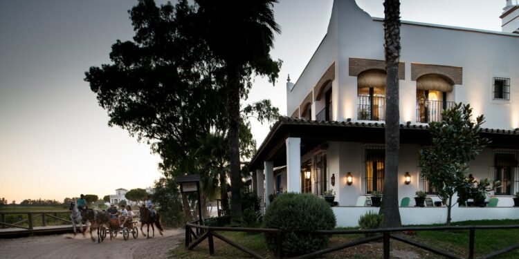 La Malvasía El Rocío