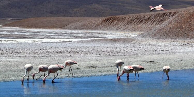 La Rioja lanza la temporada turística de invierno 2022  