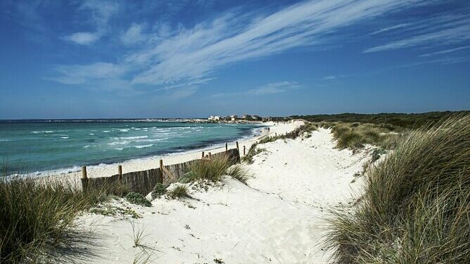 Playa Mallorca