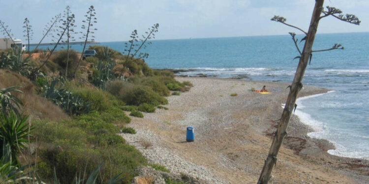 Las mejores playas de la Comunidad Valenciana para ir con perros