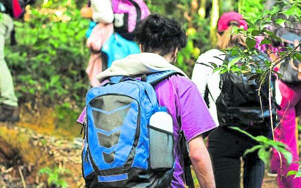 Los emprendimientos con una B mayúscula | Empresas | Negocios