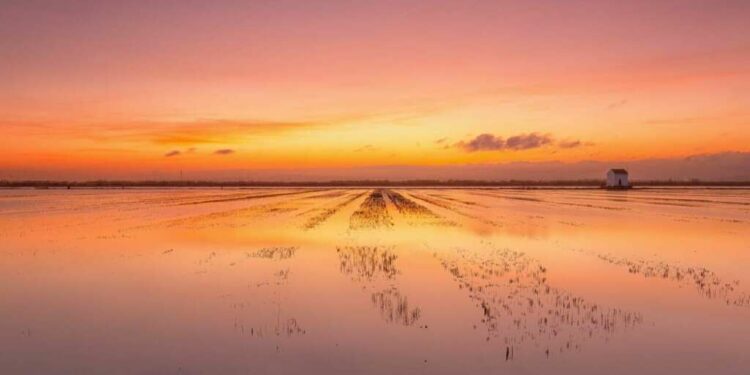 Los mejores atardeceres de España para disfrutar desde un barco