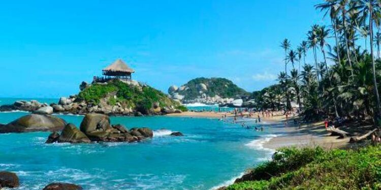 Regiones para disfrutar una deliciosa taza de café colombiano | EL UNIVERSAL