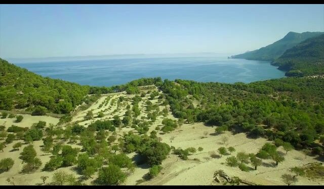 In aller Ruhe geniessen. Son Bunyola Hotel & Villas, Mallorca.