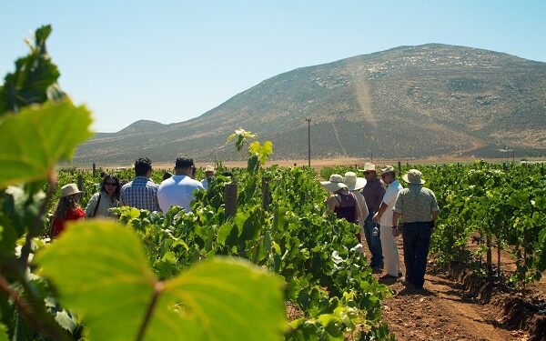 Registra Baja California un incremento del 81% en ocupación hotelera durante el fin de semana de «Memorial Day de 2022»