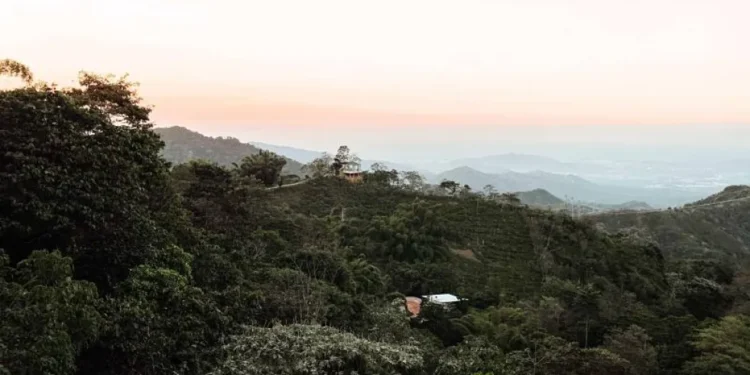 colombia2.jpg