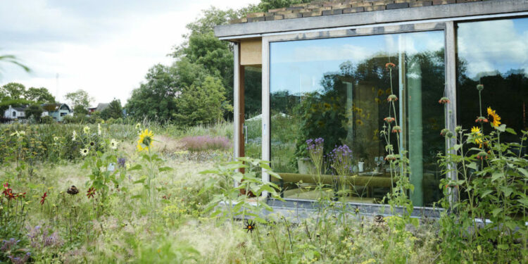 se mudará en otoño como un pop-up; en 2023, ejercicio en el que cumplirá 20 años, será su último año con el modelo actual para cambiar en 2024