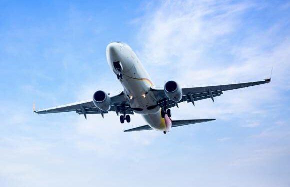 ¿Necesitas cancelar tu contrato con una agencia de viajes? PROFECO te dice cómo