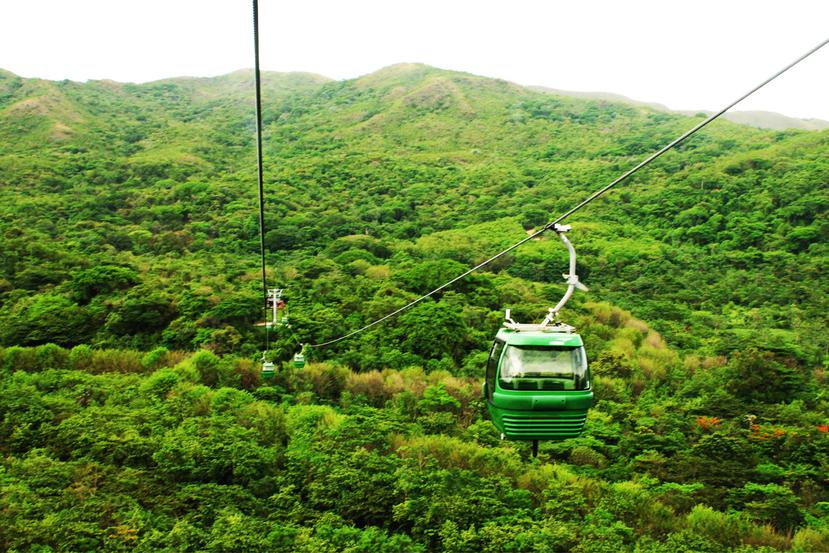 Por medio del teleférico se puede ver la bella naturaleza de los bosques de Costa Rica de forma cómoda y segura.