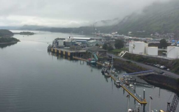 Puerto de Kodiak recibe primer crucero desde 2019