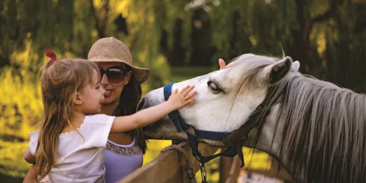 5 destinos ideales para visitar durante las vacaciones de invierno