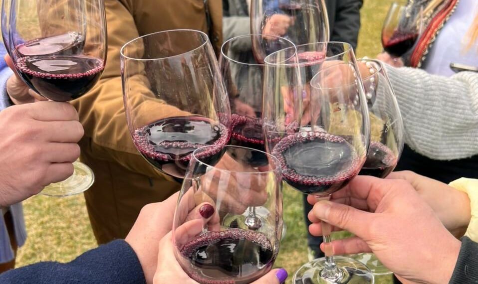 AMC invitó a sus socios estratégicos a un viaje por Mendoza