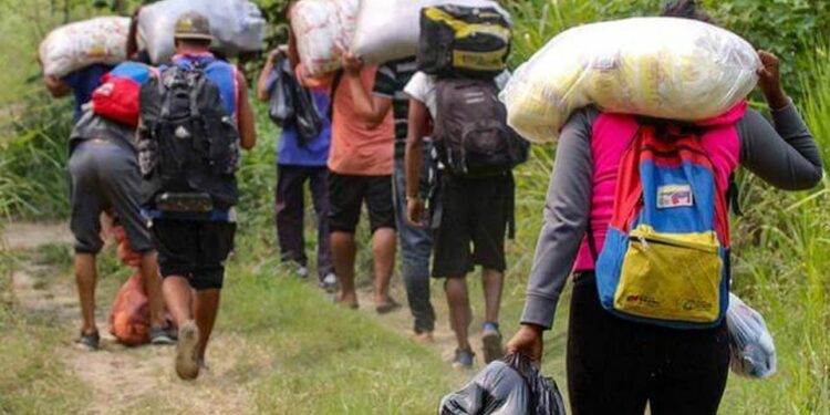 Agencias ilegales ofrecen "paquetes de viajes" con fines migratorios